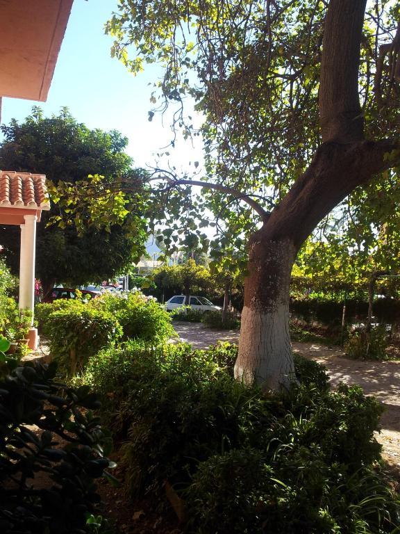 Gasthof El Tio Mateo Marbella